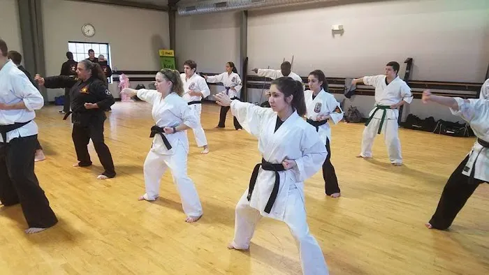 APEX Martial Arts Picture 1