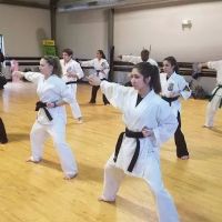 APEX Martial Arts ico