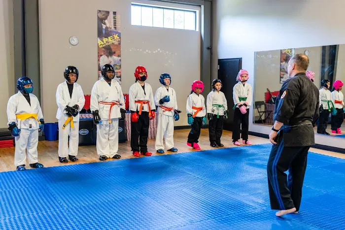 APEX Martial Arts Picture 4