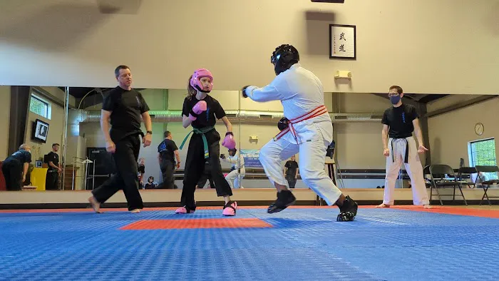 APEX Martial Arts Picture 5