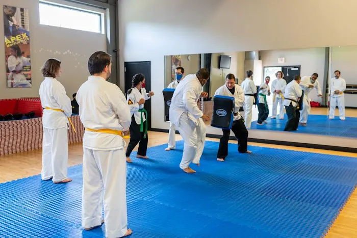 APEX Martial Arts Picture 7