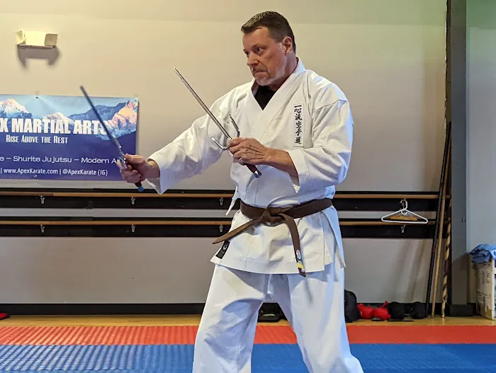 APEX Martial Arts Picture 9