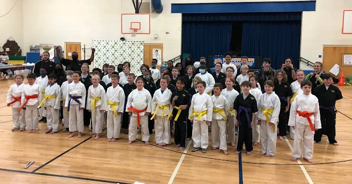 Premier Martial Arts Lake Norman Picture 3