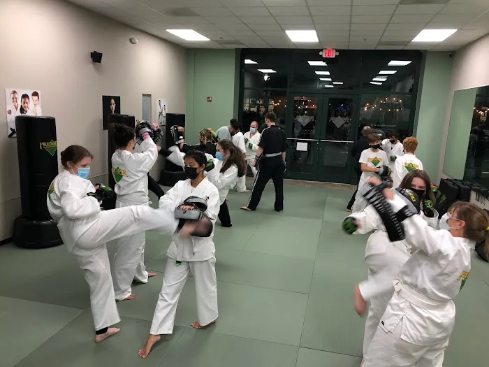 Premier Martial Arts Lake Norman Picture 1