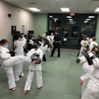 Premier Martial Arts Lake Norman ico