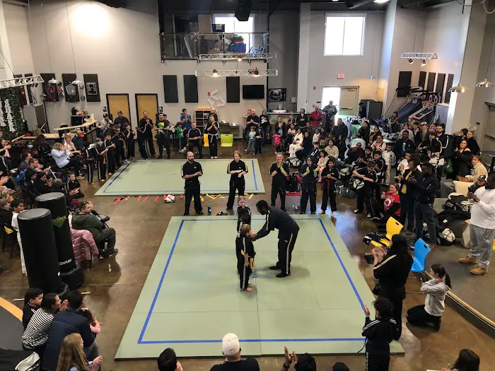 Premier Martial Arts Lake Norman Picture 8