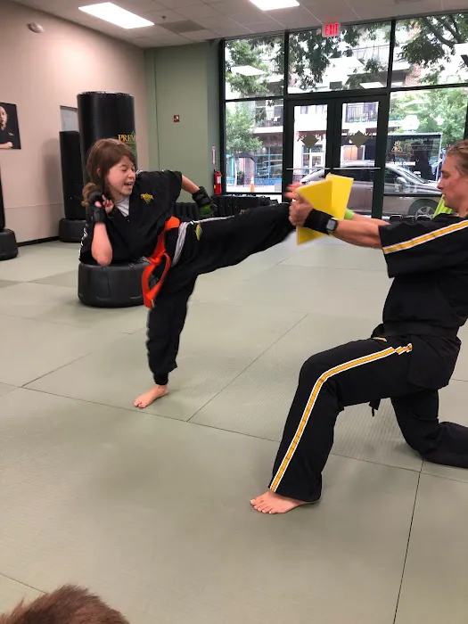 Premier Martial Arts Lake Norman Picture 10
