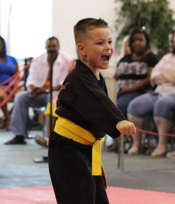 American Elite Martial Arts Picture 1