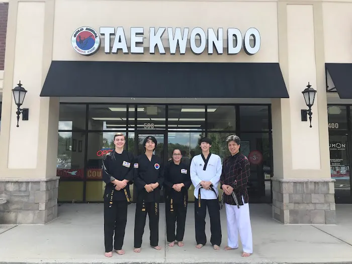 Gold Medal Taekwondo Academy Picture 2