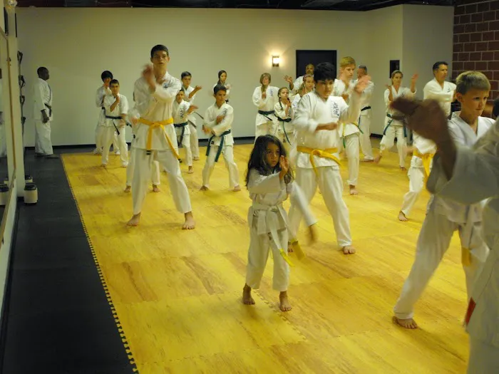 Toma Dojo - True Karate Picture 1