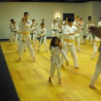 Toma Dojo - True Karate ico