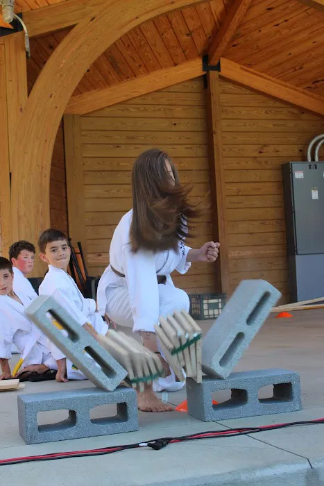 Toma Dojo - True Karate Picture 3