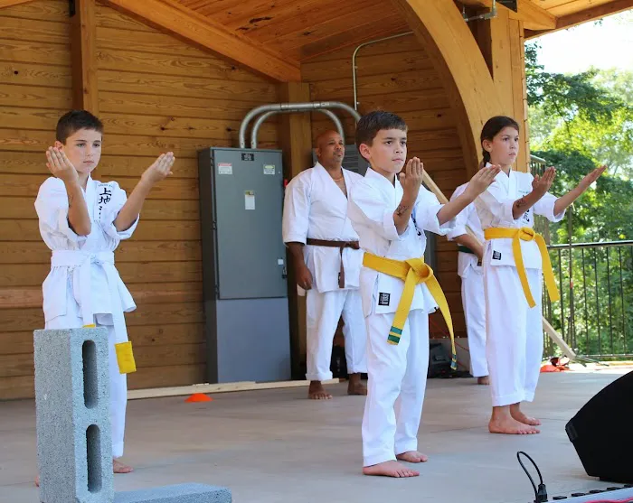 Toma Dojo - True Karate Picture 8