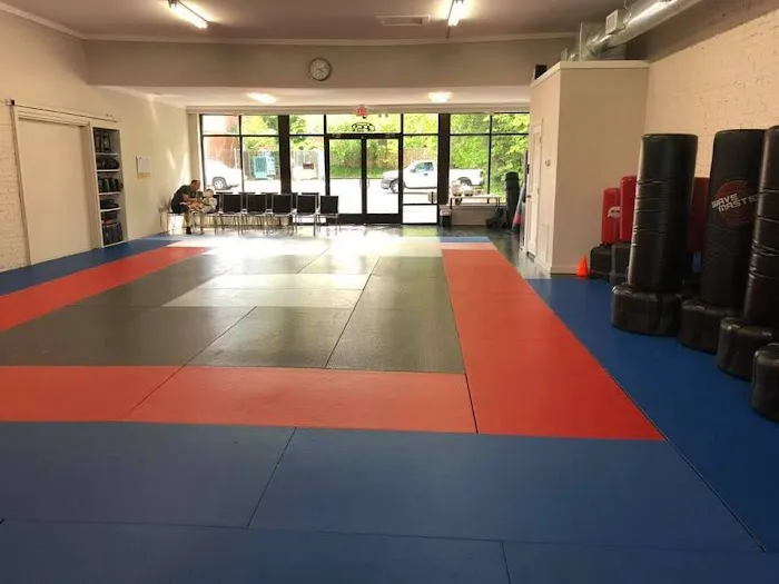 Mangan Martial Arts Academy Picture 2