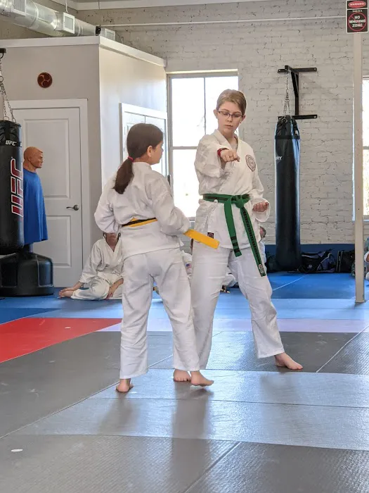Mangan Martial Arts Academy Picture 1