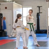 Mangan Martial Arts Academy ico