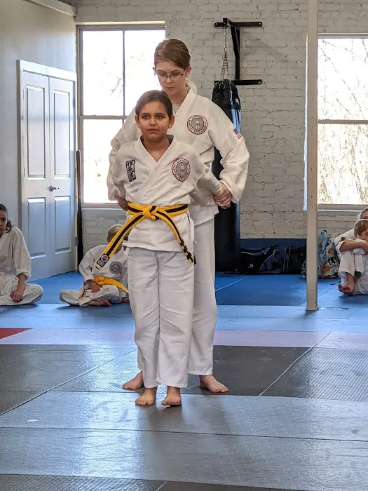 Mangan Martial Arts Academy Picture 4