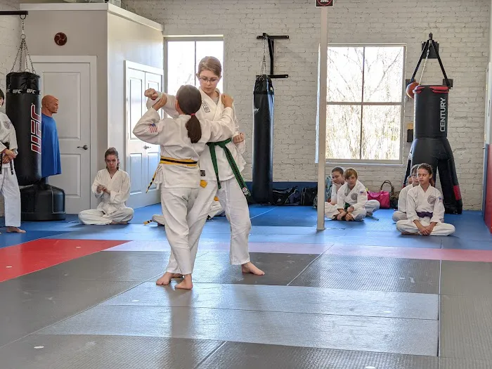 Mangan Martial Arts Academy Picture 5