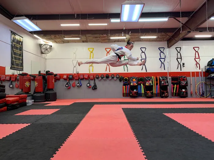 Lake Norman Taekwondo Picture 1