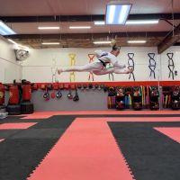 Lake Norman Taekwondo ico