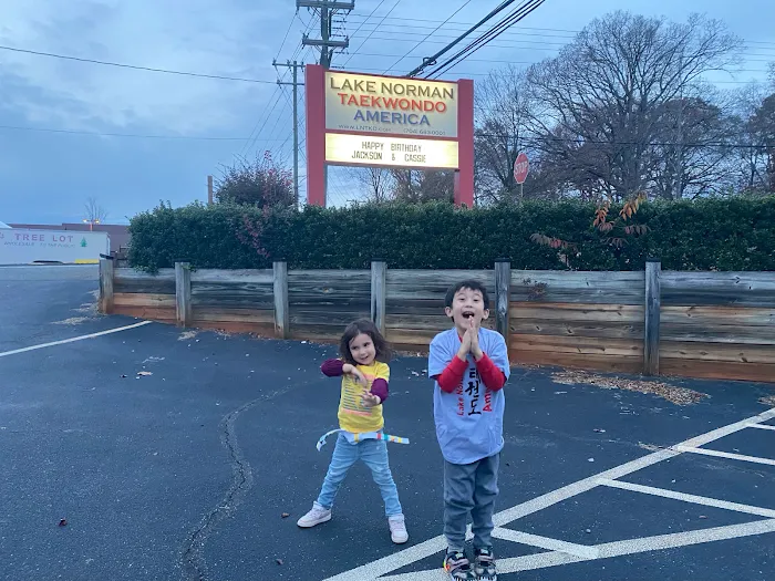 Lake Norman Taekwondo Picture 4
