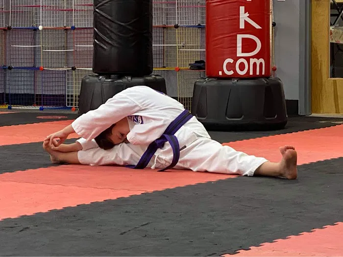 Lake Norman Taekwondo Picture 5