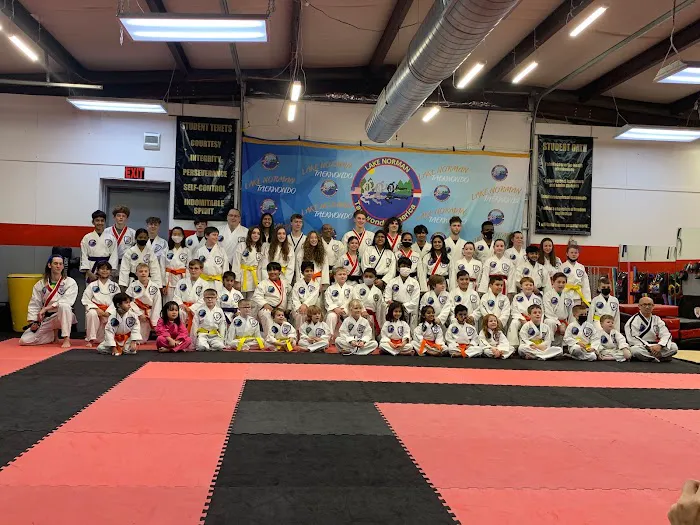 Lake Norman Taekwondo Picture 7