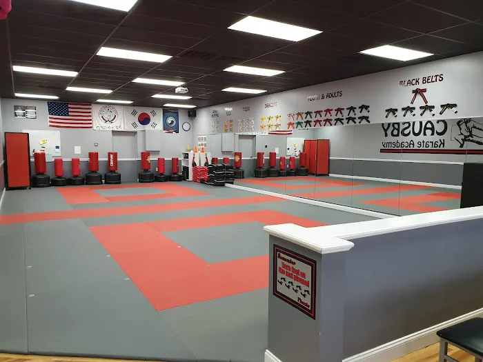 Causby Karate Academy Picture 2