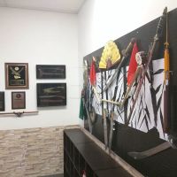 Corey Family Martial Arts ico