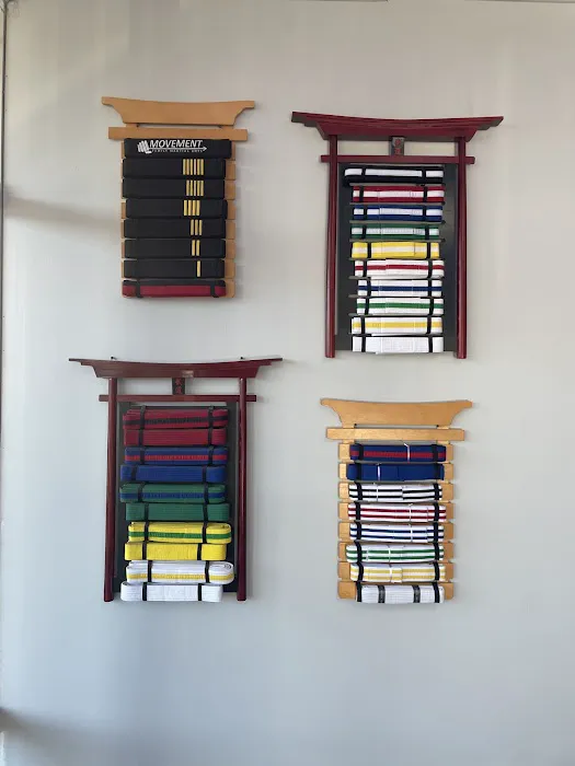 Movement Family Martial Arts Picture 4