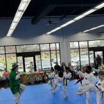 Tiger Kim's World Class Tae Kwon Do Centers