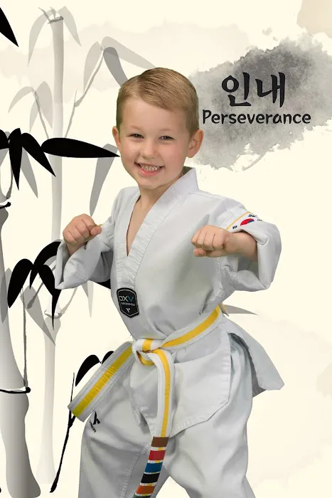 Roar Taekwondo Picture 4