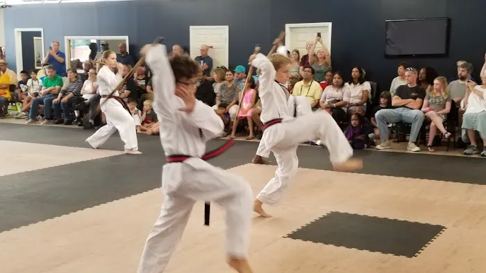 King Tiger Tae Kwon Do Belmont Picture 2