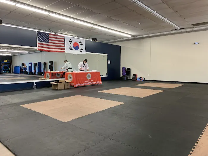 King Tiger Tae Kwon Do Belmont Picture 4