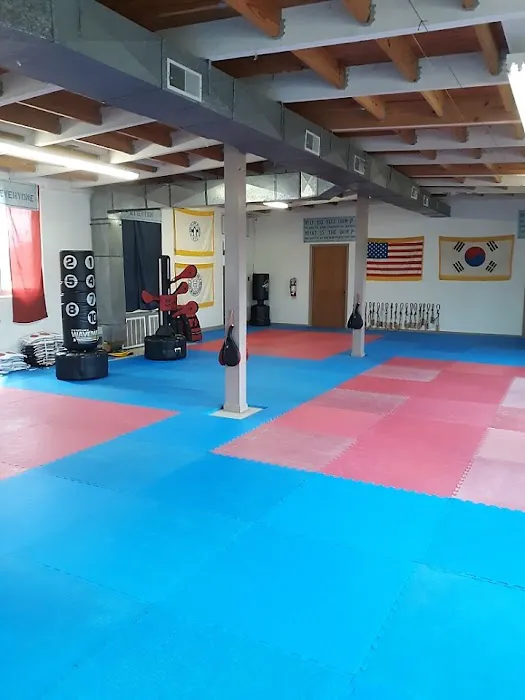 Lee's Taekwondo Class & Martial Art Picture 3