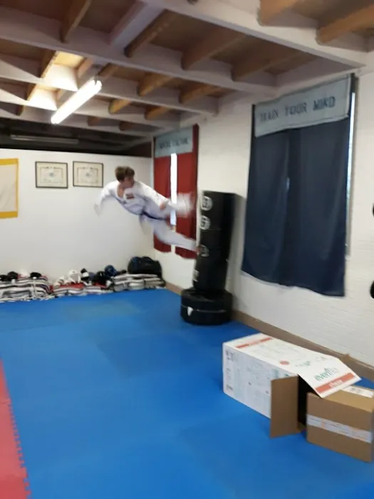 Lee's Taekwondo Class & Martial Art Picture 2