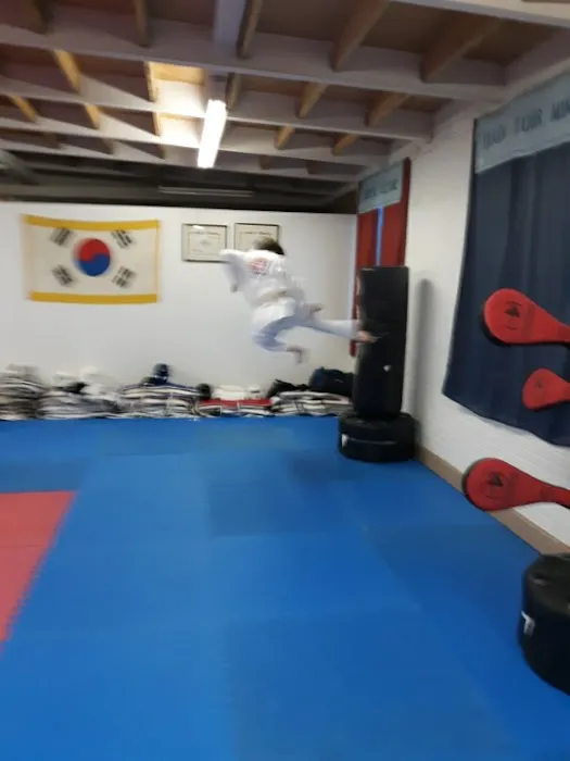 Lee's Taekwondo Class & Martial Art Picture 5