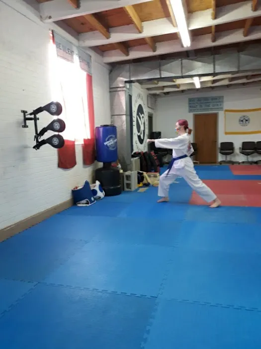 Lee's Taekwondo Class & Martial Art Picture 4