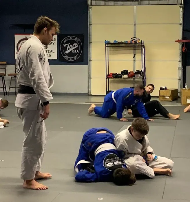 McGinnis Academy of Martial Arts Picture 2