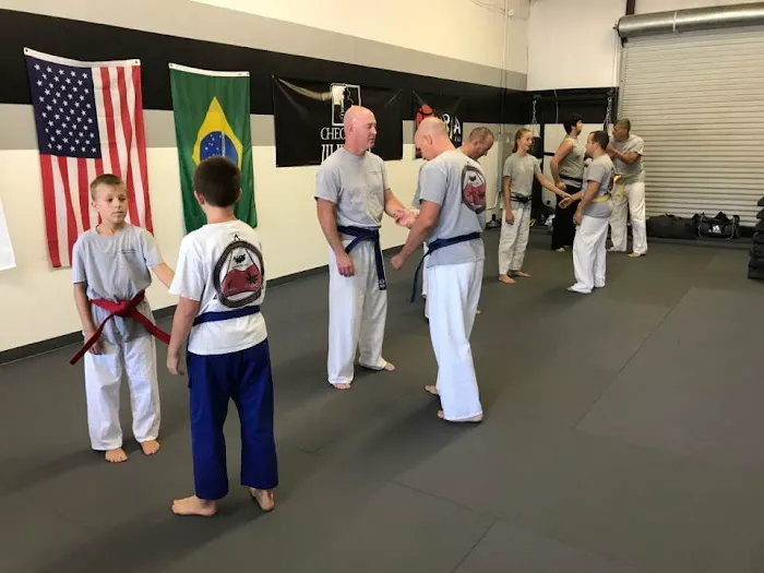 McGinnis Academy of Martial Arts Picture 8