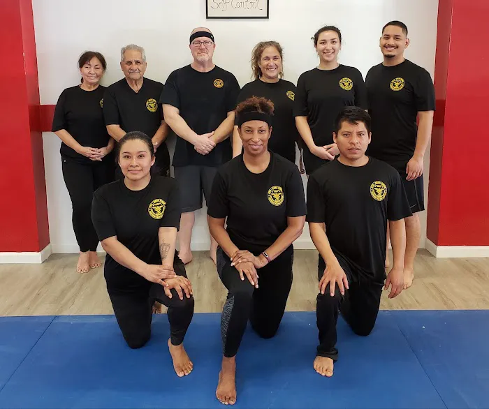 Kravmaga Martial Arts Picture 3