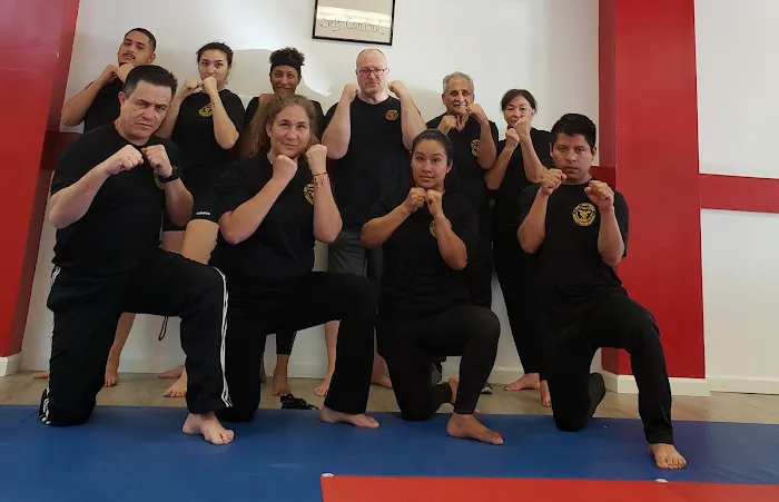 Kravmaga Martial Arts Picture 2
