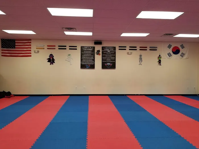 Kinetic Taekwondo Picture 2