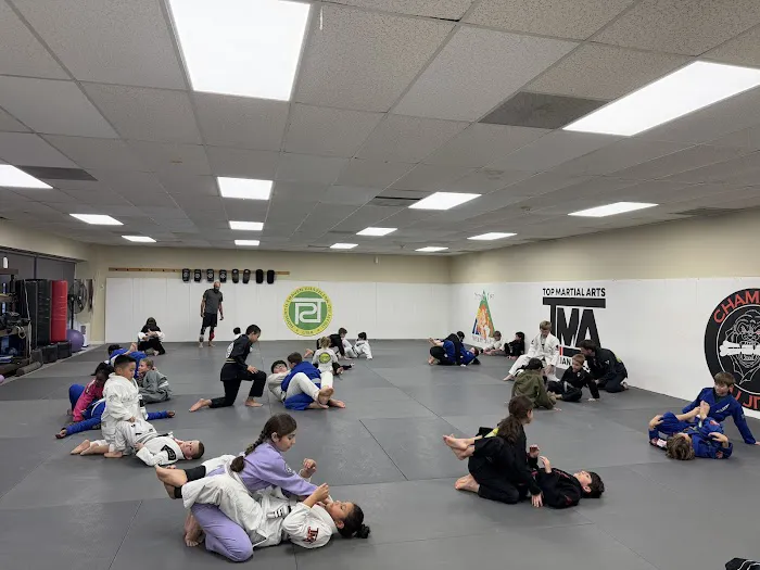 Top Martial Arts Charlotte (TMA Charlotte) - Brazilian Jiu Jitsu Picture 1