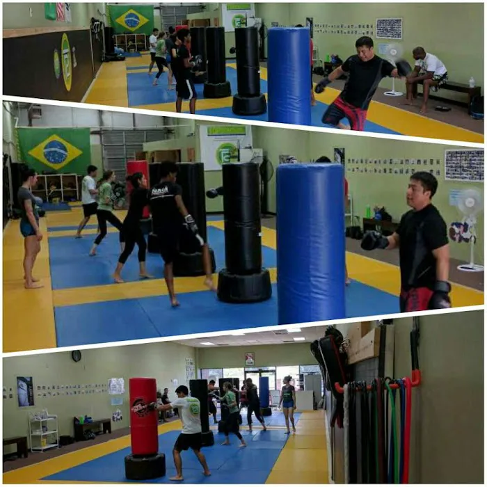 Top Martial Arts Charlotte (TMA Charlotte) - Brazilian Jiu Jitsu Picture 6