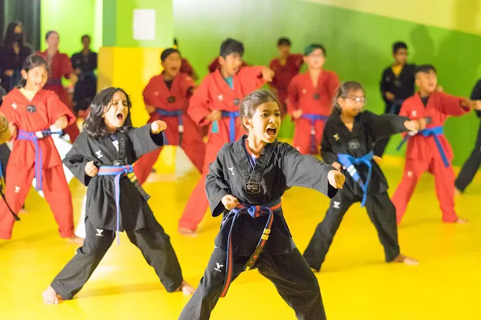 Master Chang's Martial Arts Charlotte Picture 2