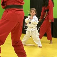Master Chang's Martial Arts Charlotte ico