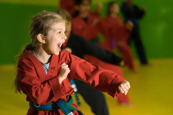 Master Chang's Martial Arts Charlotte Picture 4