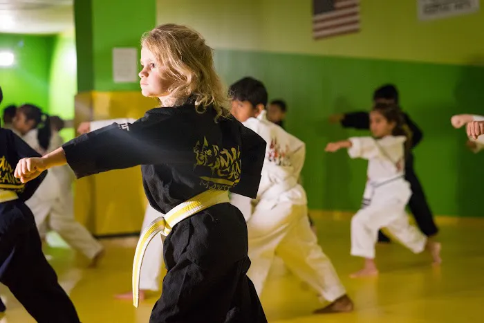 Master Chang's Martial Arts Charlotte Picture 3