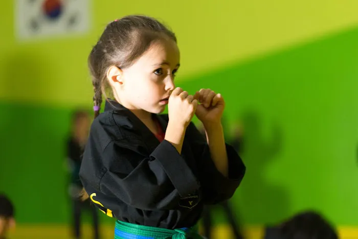 Master Chang's Martial Arts Charlotte Picture 5